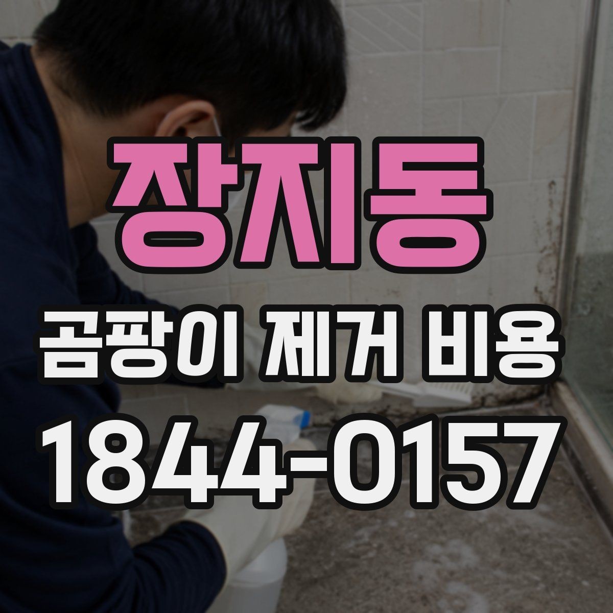 장지동 곰팡이 제거 비용 집 상태별로 달라지는 판단 기준