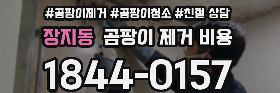 장지동 곰팡이 제거 비용