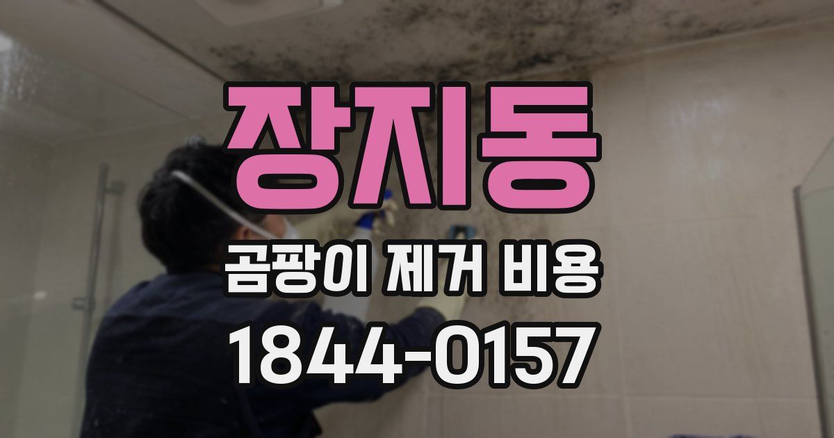 장지동 곰팡이 제거 비용