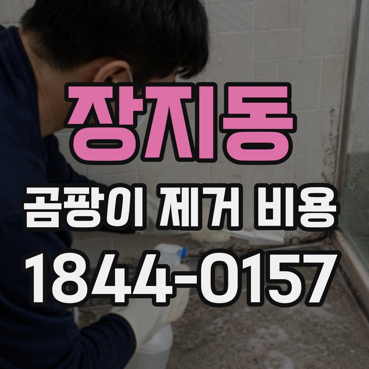 장지동 곰팡이 제거 비용