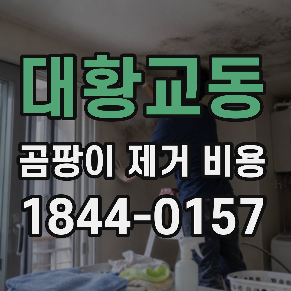 대황교동 곰팡이 제거 비용
