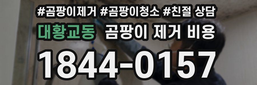 대황교동 곰팡이 제거 비용