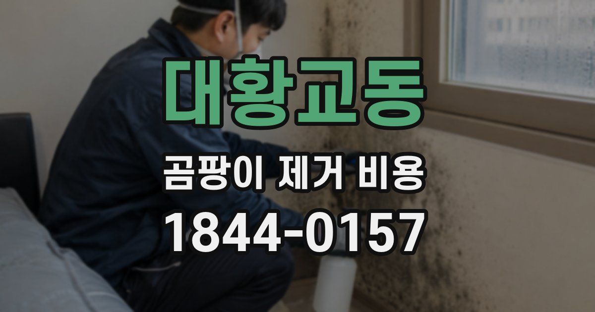 대황교동 곰팡이 제거 비용