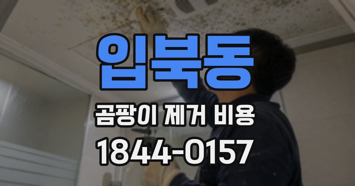 입북동 곰팡이 제거 비용