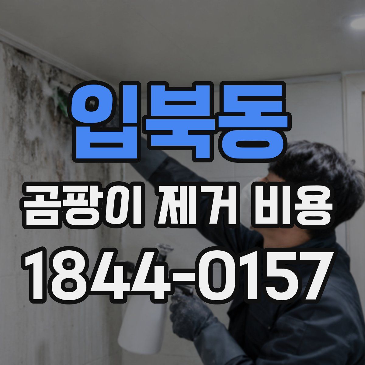 입북동 곰팡이 제거 비용
