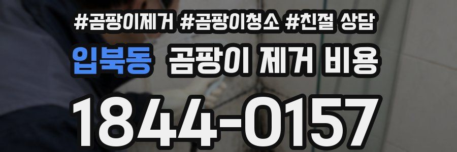 입북동 곰팡이 제거 비용