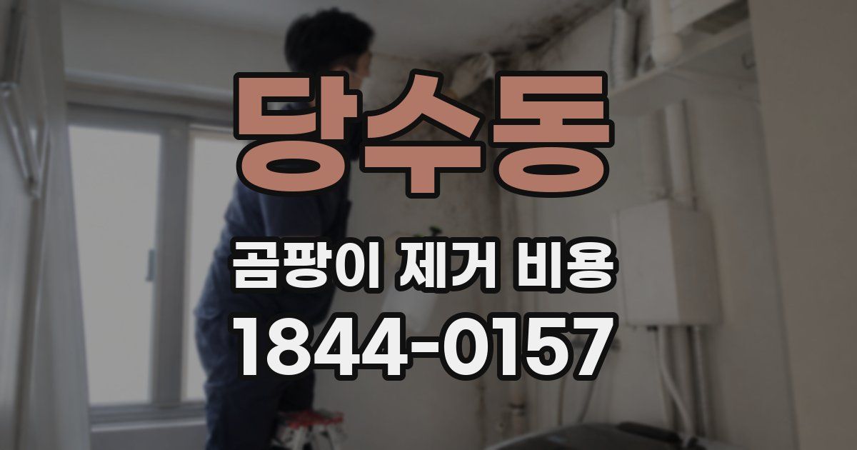 당수동 곰팡이 제거 비용