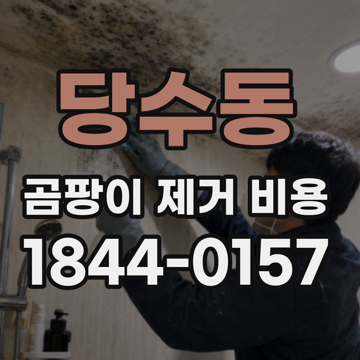 당수동 곰팡이 제거 비용