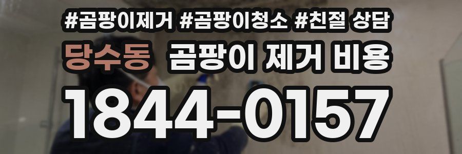 당수동 곰팡이 제거 비용