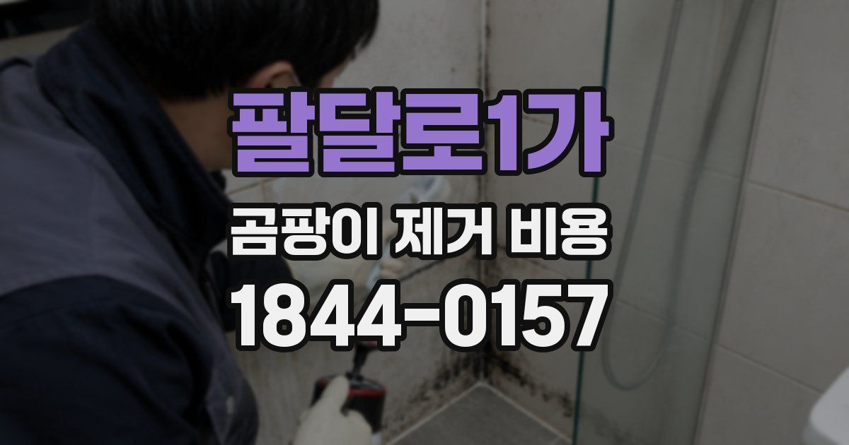 팔달로1가 곰팡이 제거 비용