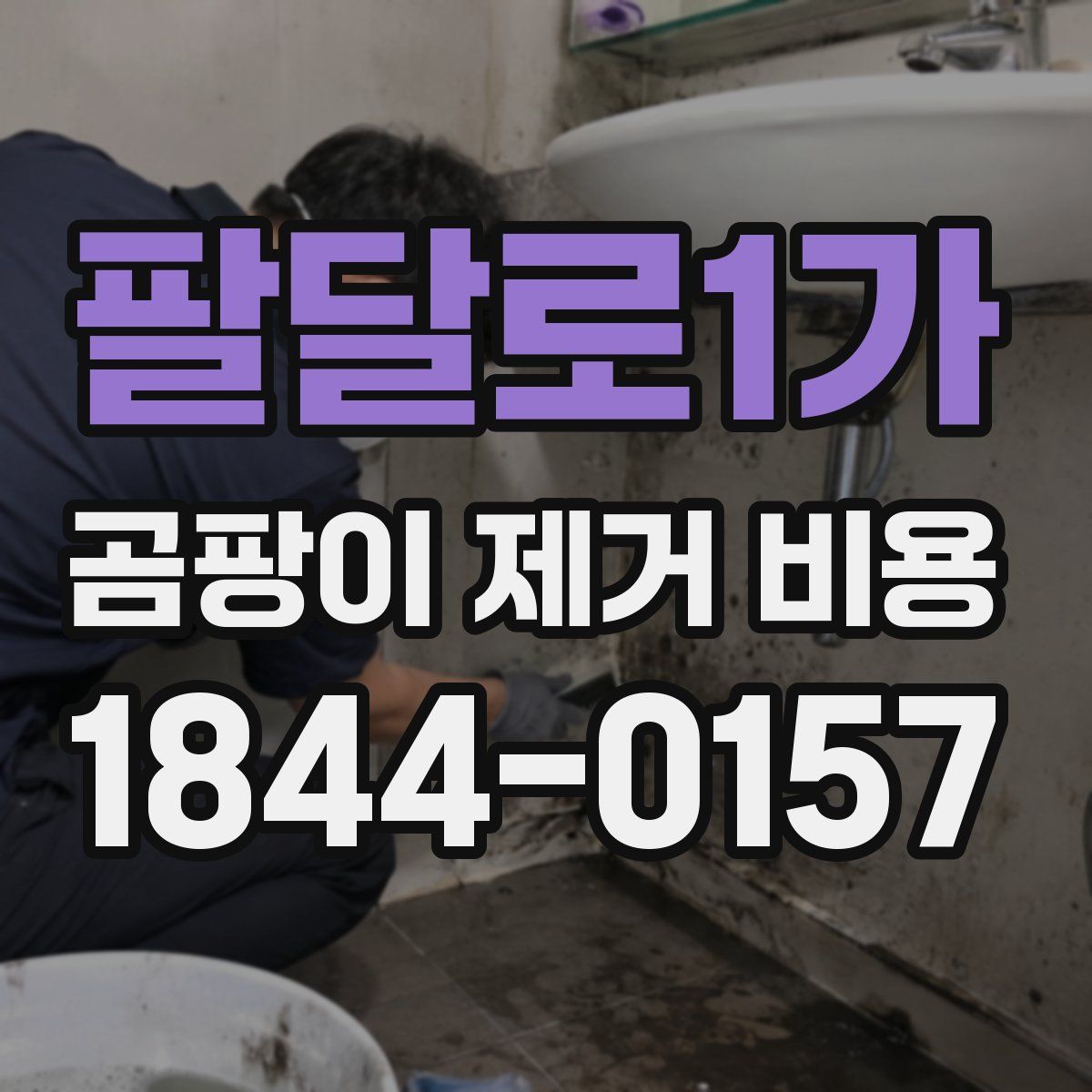 팔달로1가 곰팡이 제거 비용