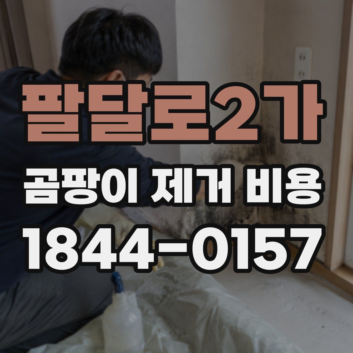 팔달로2가 곰팡이 제거 비용