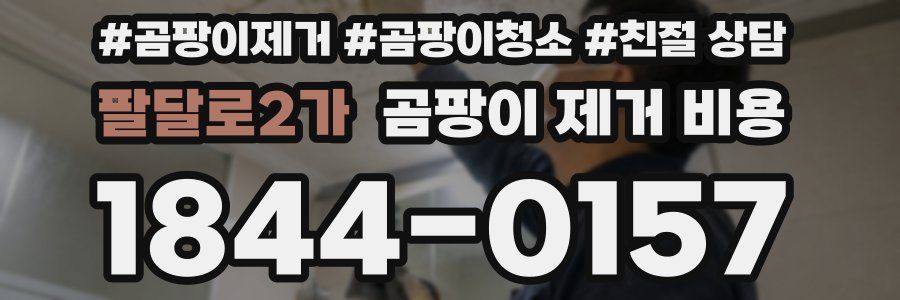 팔달로2가 곰팡이 제거 비용