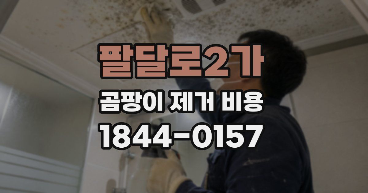 팔달로2가 곰팡이 제거 비용