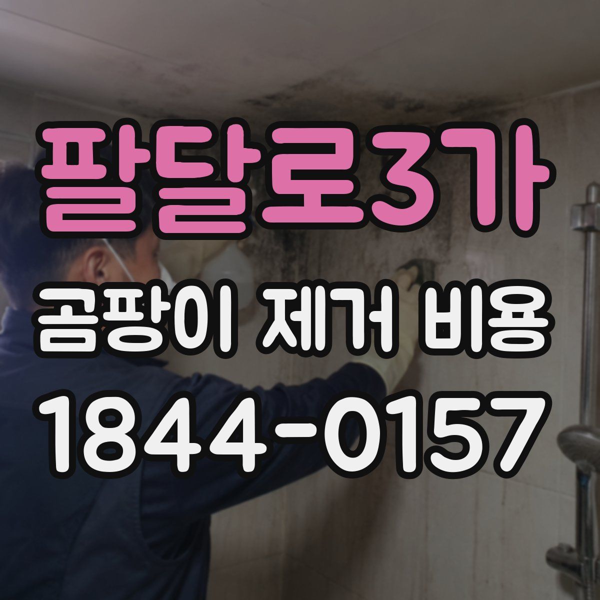 팔달로3가 곰팡이 제거 비용