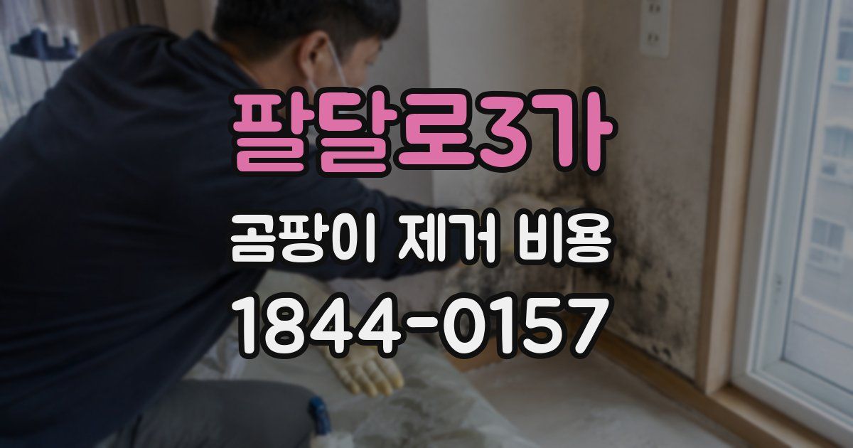 팔달로3가 곰팡이 제거 비용