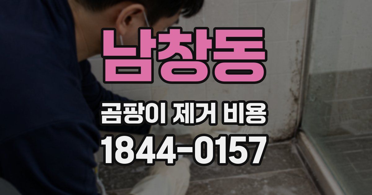 남창동 곰팡이 제거 비용