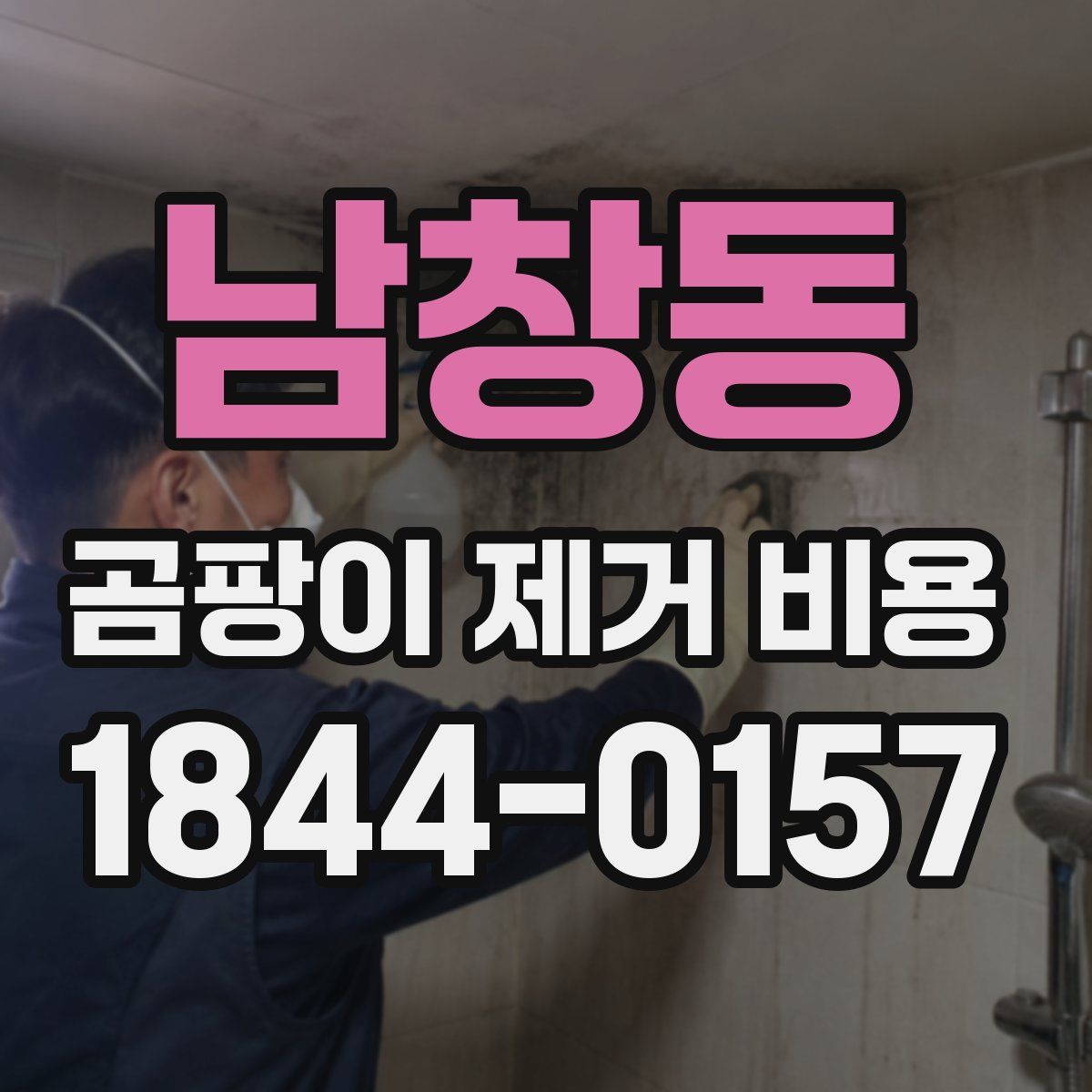 남창동 곰팡이 제거 비용