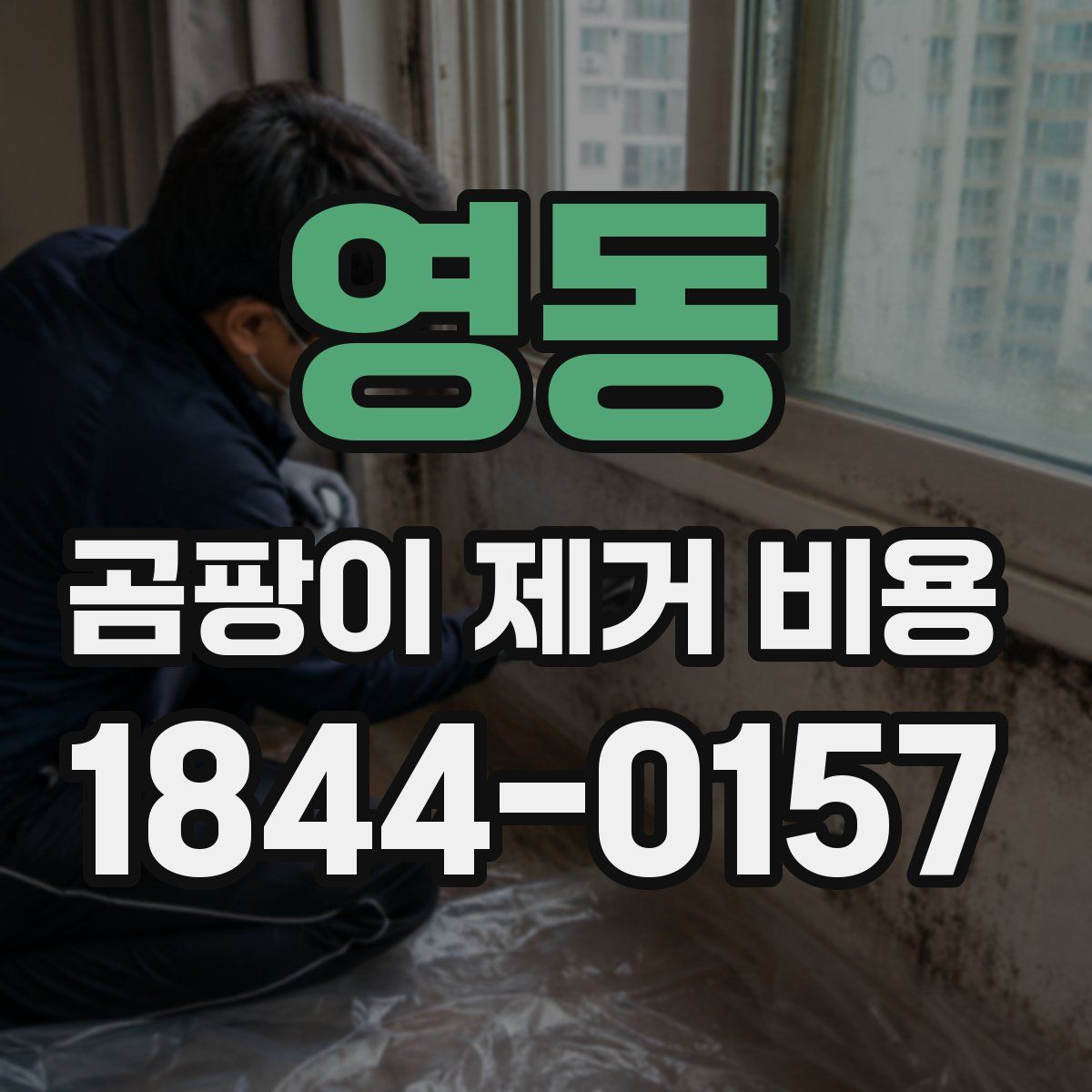 영동 곰팡이 제거 비용