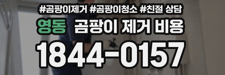 영동 곰팡이 제거 비용
