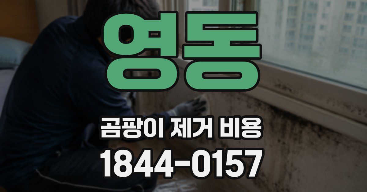 영동 곰팡이 제거 비용