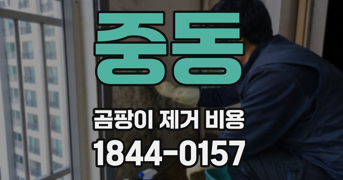 중동 곰팡이 제거 비용