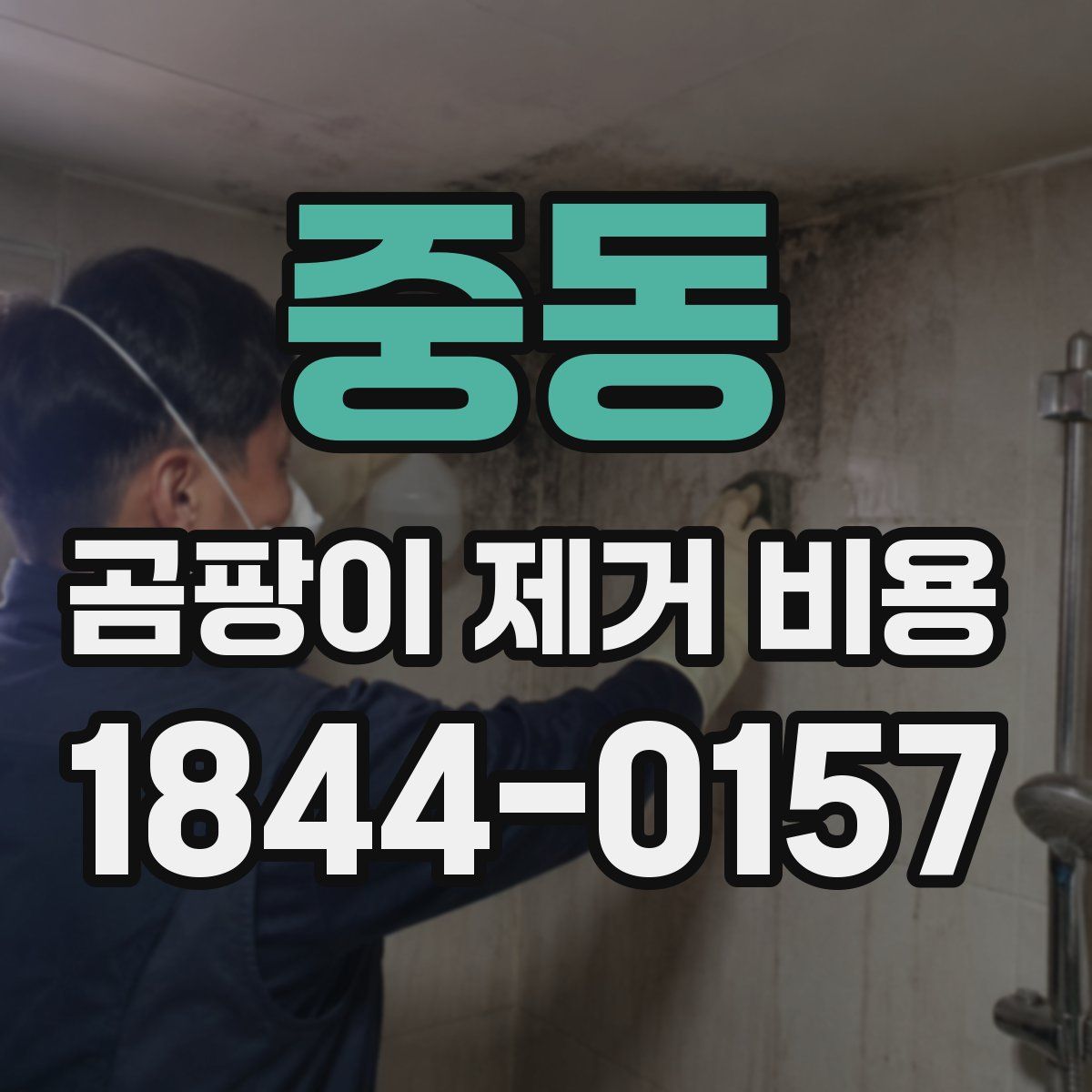중동 곰팡이 제거 비용