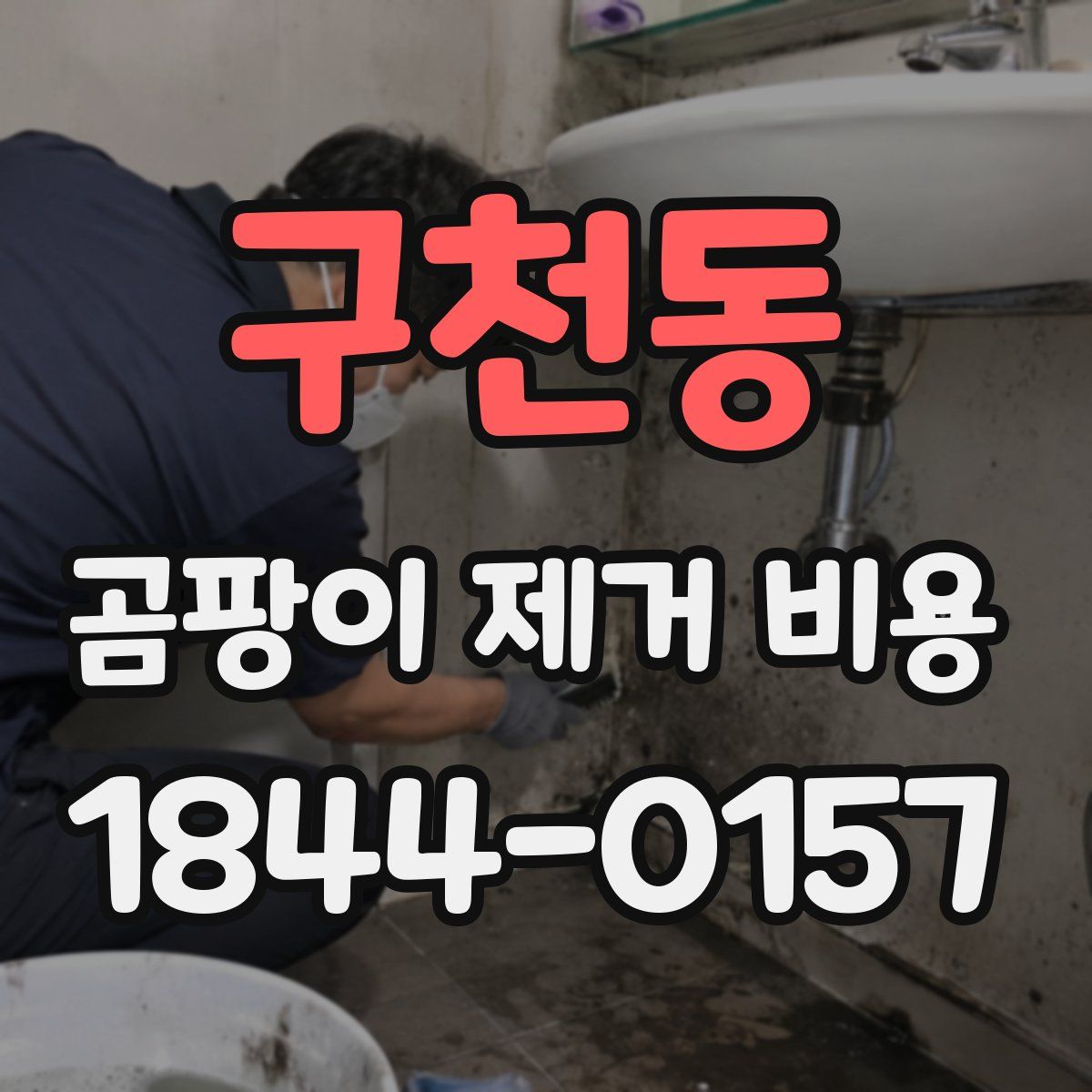 구천동 곰팡이 제거 비용
