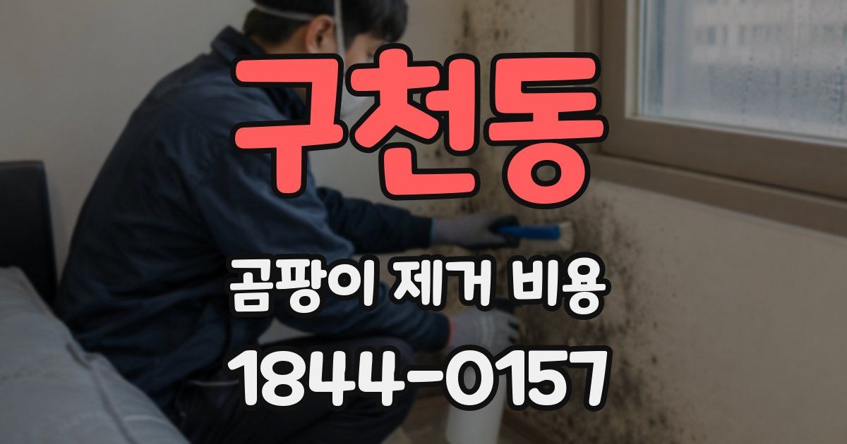 구천동 곰팡이 제거 비용