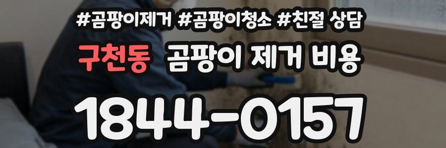 구천동 곰팡이 제거 비용