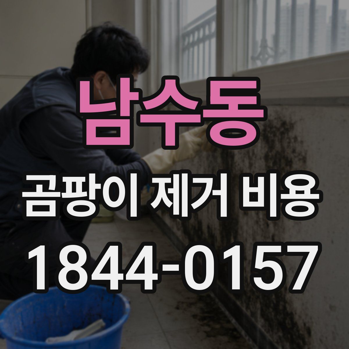 남수동 곰팡이 제거 비용