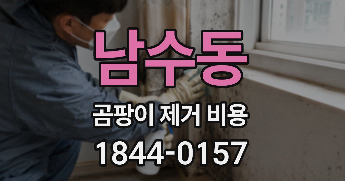 남수동 곰팡이 제거 비용
