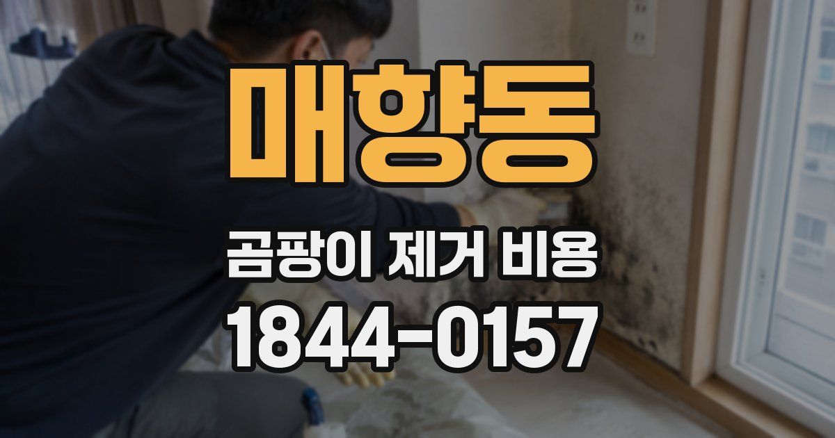 매향동 곰팡이 제거 비용