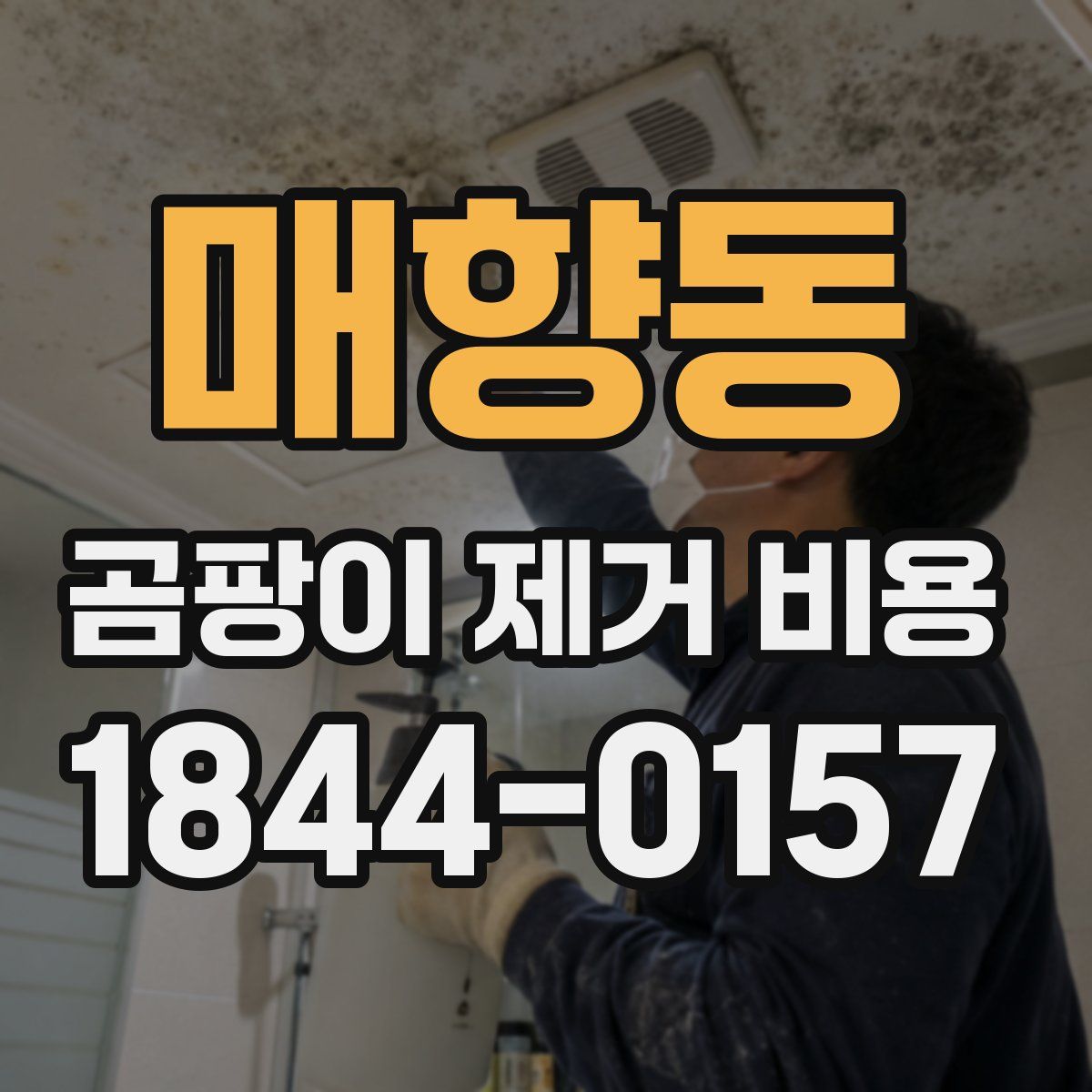 매향동 곰팡이 제거 비용