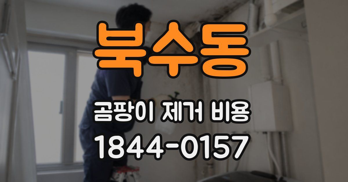 북수동 곰팡이 제거 비용