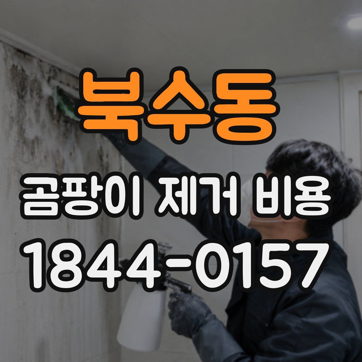 북수동 곰팡이 제거 비용