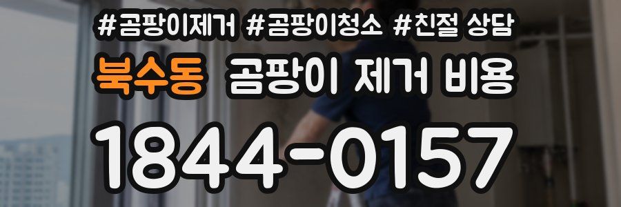 북수동 곰팡이 제거 비용