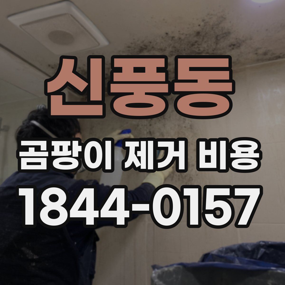 신풍동 곰팡이 제거 비용