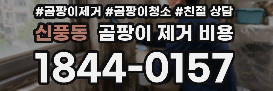 신풍동 곰팡이 제거 비용