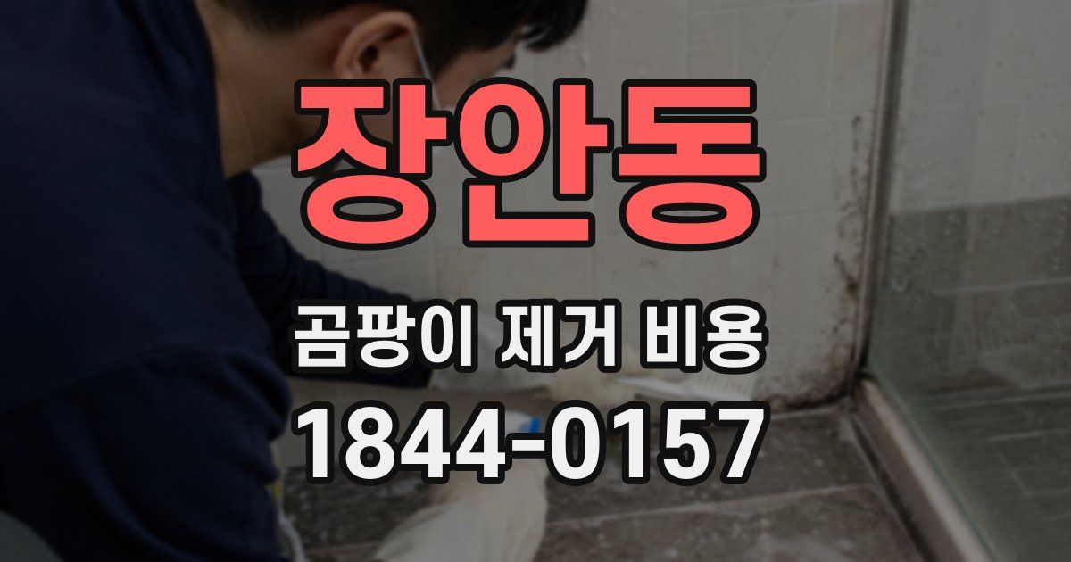 장안동 곰팡이 제거 비용