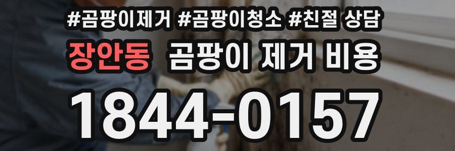 장안동 곰팡이 제거 비용