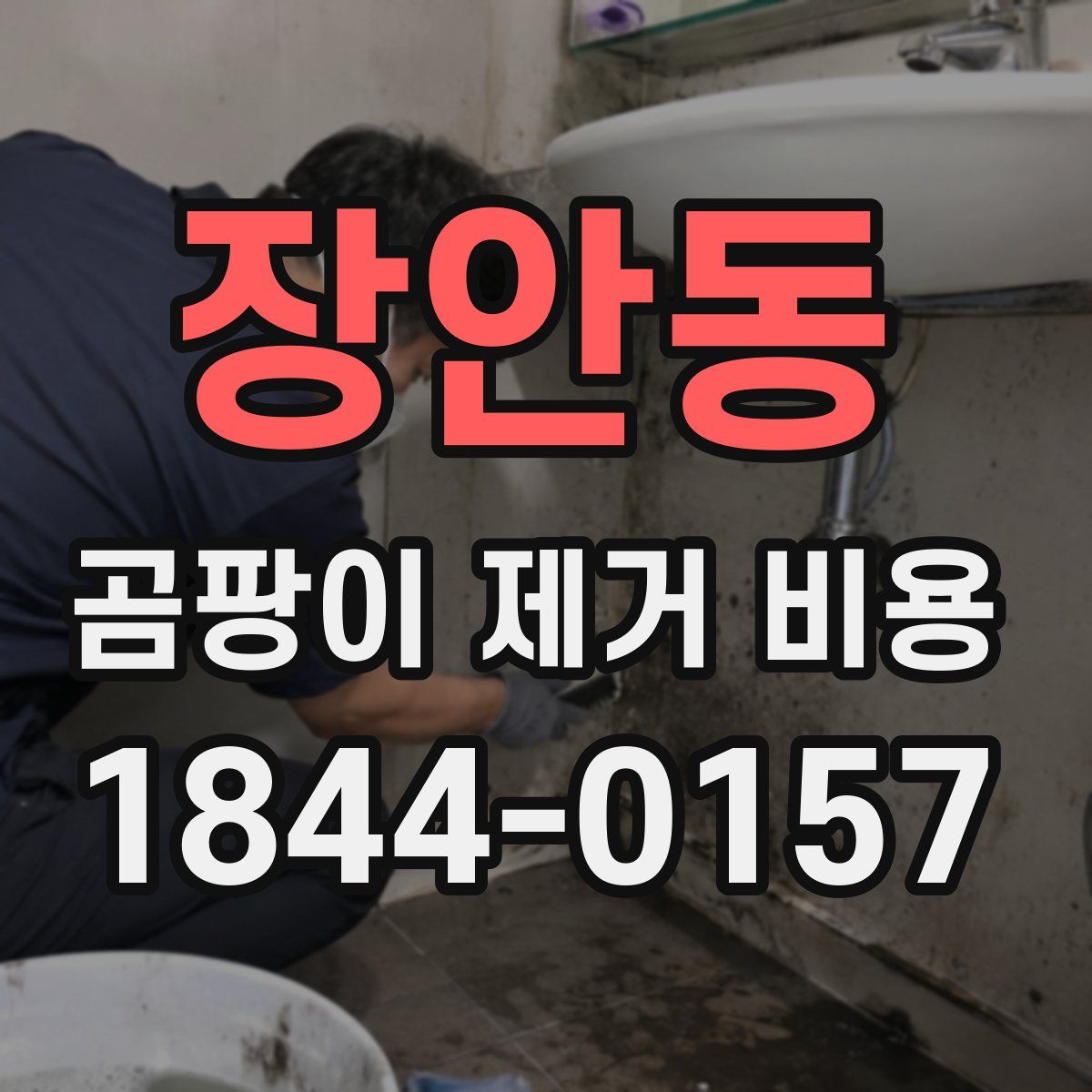 장안동 곰팡이 제거 비용