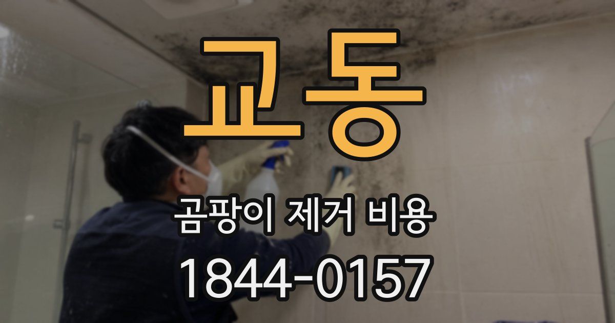교동 곰팡이 제거 비용