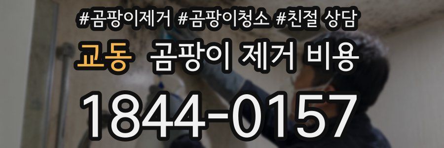 교동 곰팡이 제거 비용