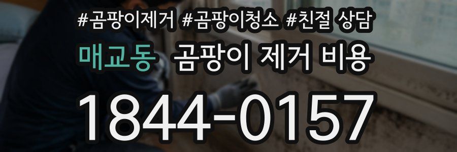 매교동 곰팡이 제거 비용