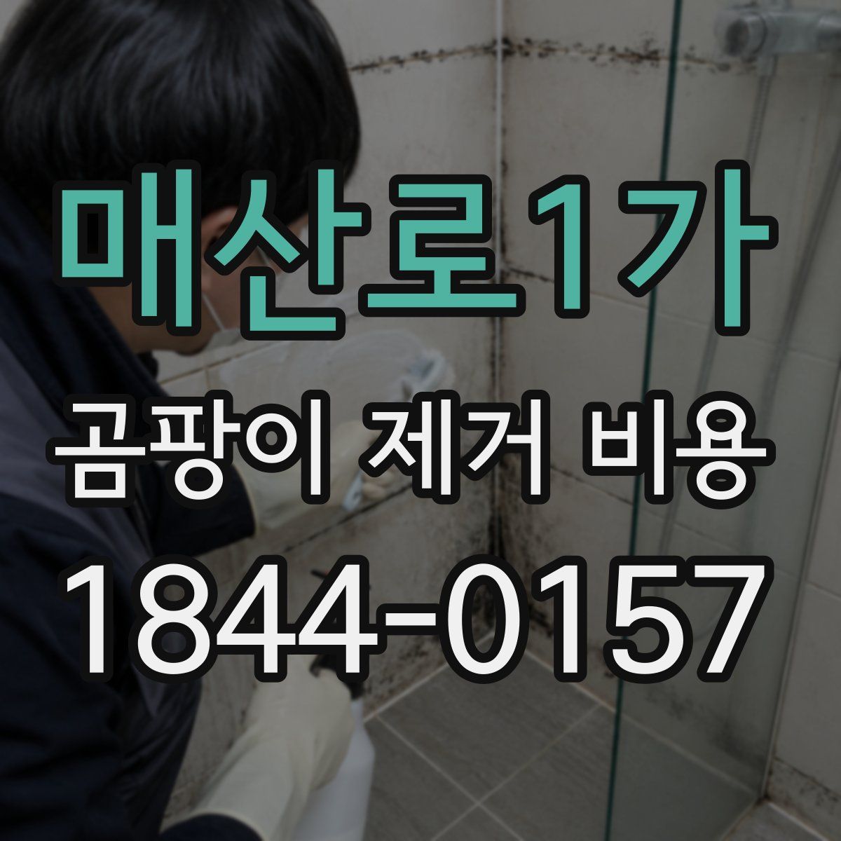 매산로1가 곰팡이 제거 비용