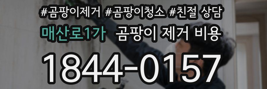 매산로1가 곰팡이 제거 비용
