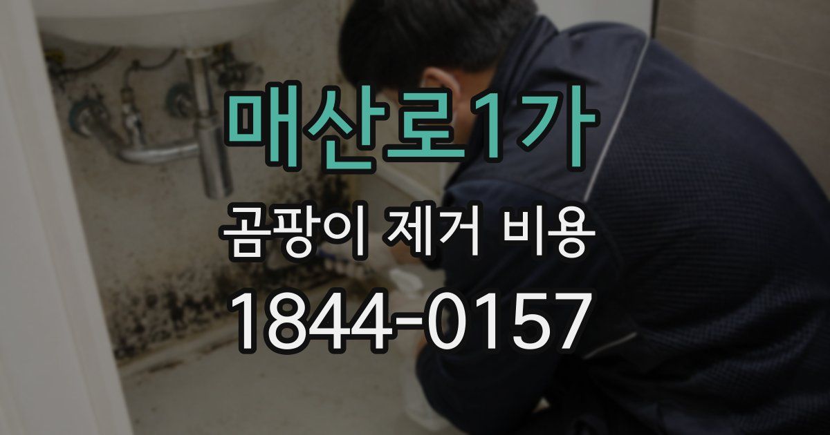 매산로1가 곰팡이 제거 비용