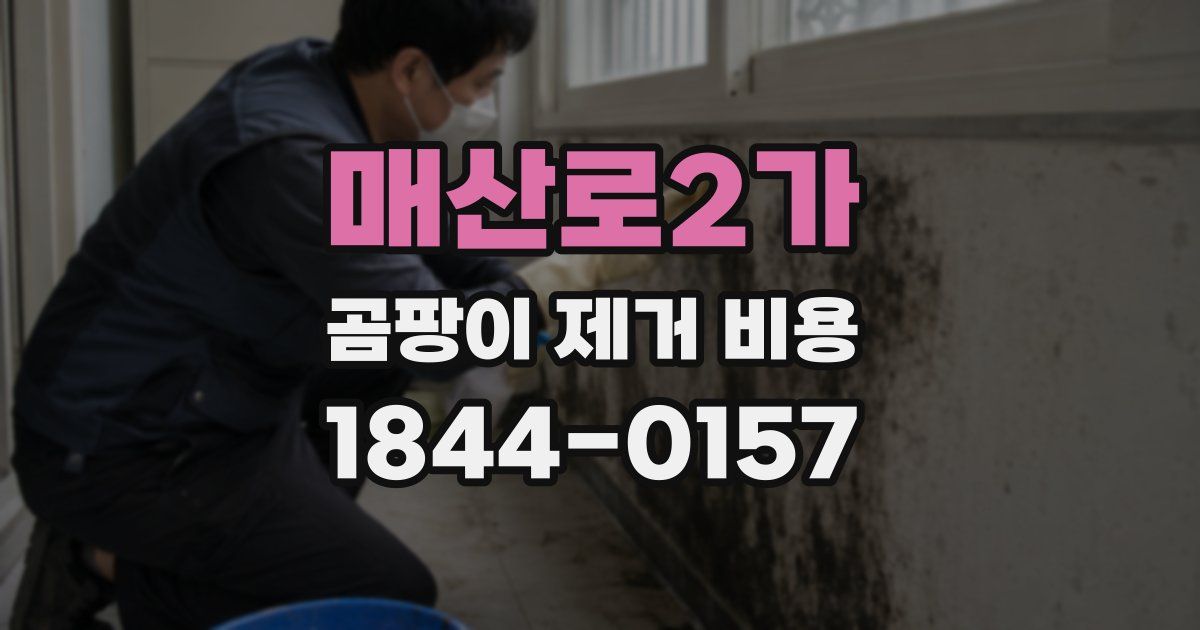 매산로2가 곰팡이 제거 비용