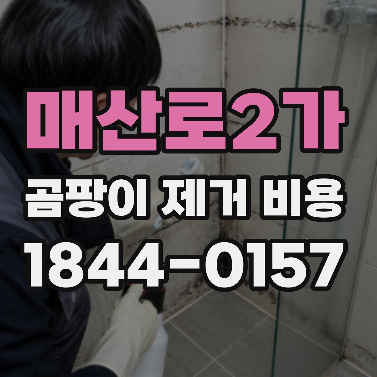 매산로2가 곰팡이 제거 비용
